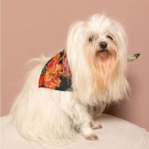 🆕Johnny Was Taylor Pet Bandana
